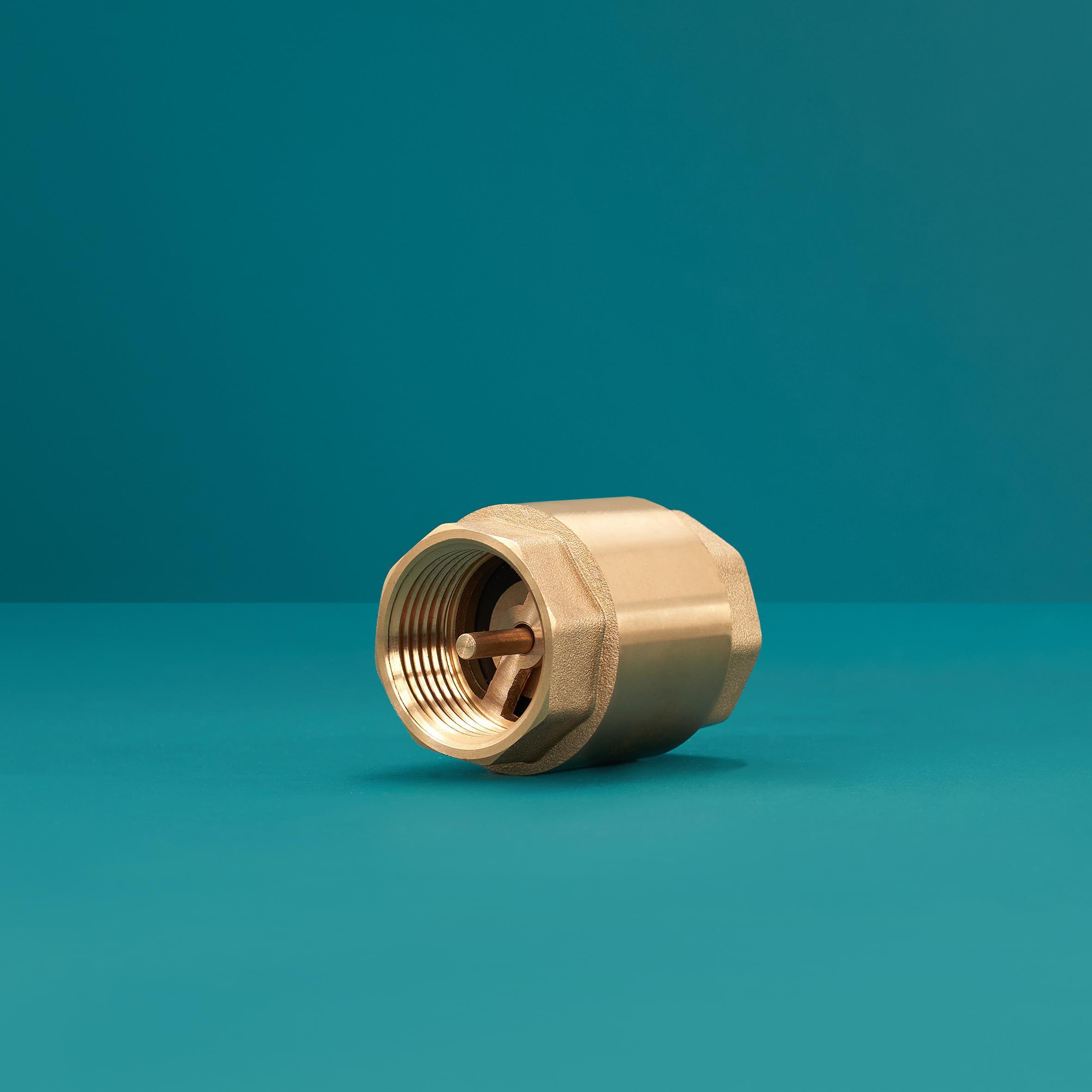 Обратный клапан "РМС" Люкс 03-15 (1/2")